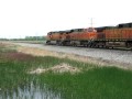 UP stack and BNSF freight meet at Carrolton on ...