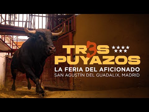 3 PUYAZOS | La feria del aficionado 💥