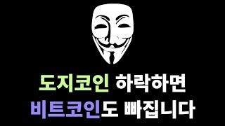 도지코인 / 비트코인 / 포켓몬 빵 - 거대세력이 가지고 노는 중.