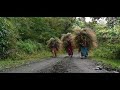 डाली डाली फूलों की Dali Dali Phoolon Ki Full Song Official Music Video