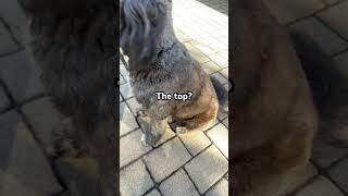 Download lagu Jupiter is perfect 🤩 mp3