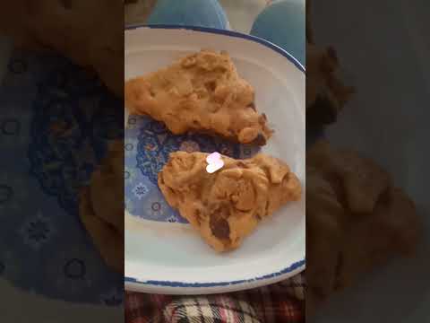 fried naan