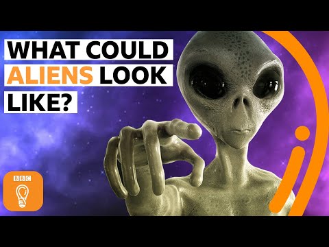 外星生命究竟會是什麼樣子？| BBC創意 (What would alien life actually look like? | BBC Ideas)