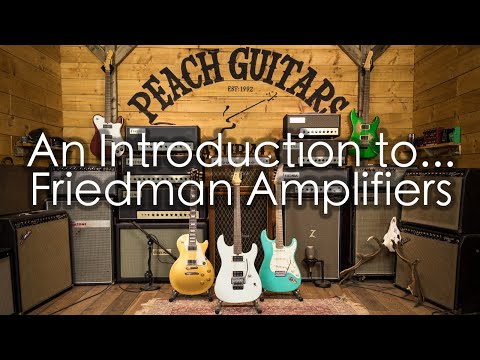 Friedman BE-50 Deluxe | 50-Watt Head image 4