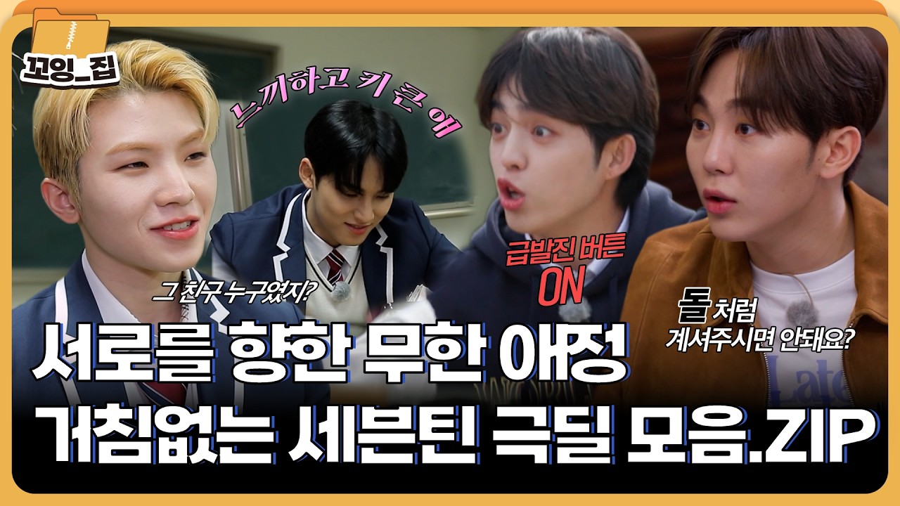 위아래는 없고 양옆만 있는 세븐틴 극딜 모음집😈ㅣ#꼬잉집 EP.5