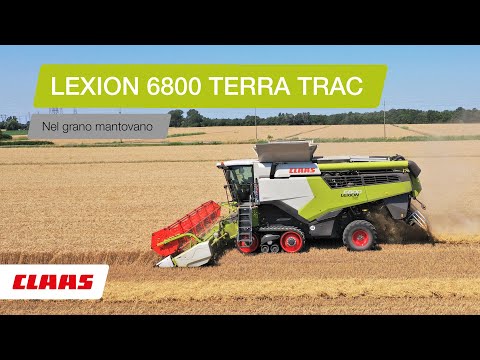 CLAAS In Campo 2020 - LEXION 6800 nel grano mantovano
