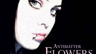 Antimatter   Flowers   YouTube