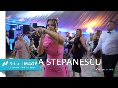 Stana Stepanescu & Boji & Banat Express - Colaj Banat Next Level 2024