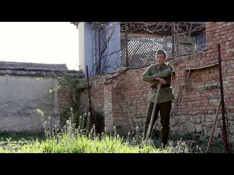 Adina Roșca și Cătălin Doinaș - Vino bădiță, hai mândruliță (2013)