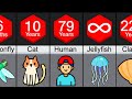 Comparison: Animal Lifespans