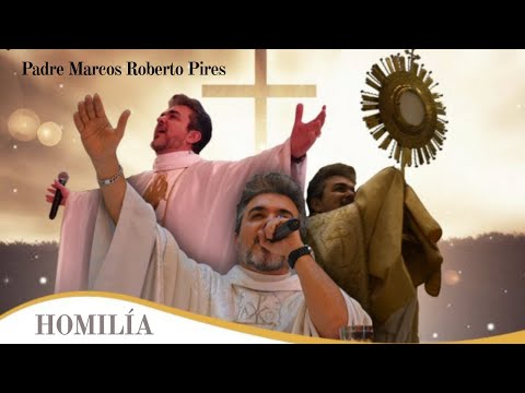 HOMILIA - 12º DOMINGO DO TEMPO COMUM - 20.06.2021