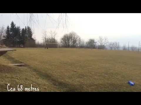 Chodský pes Linch - Quadruped 26. 2. 2014