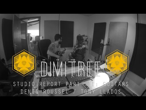 DIMITREE STUDIO REPORT PART II - GUITARS