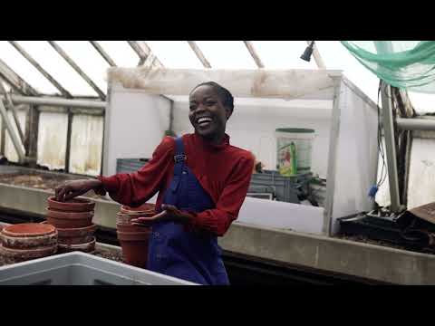 Hortence Dress Sewing Pattern video