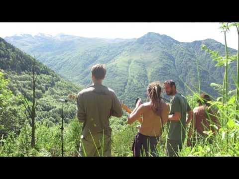 Steinregen Dubsystem - Dubtrain-Tour Memories