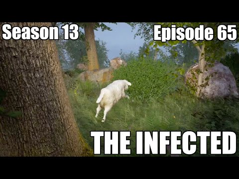 The Infected S13E65 - An animal has been spotted