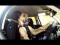 Porter El Primer Perro Que Sabe Manejar Autocosmos