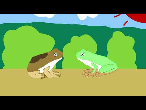 日本文化学科 The two frogs from the different towns　名護のかえると本部のかえる　沖縄の民話・昔話（4-131）