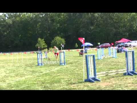 20100829 dexter s snooker