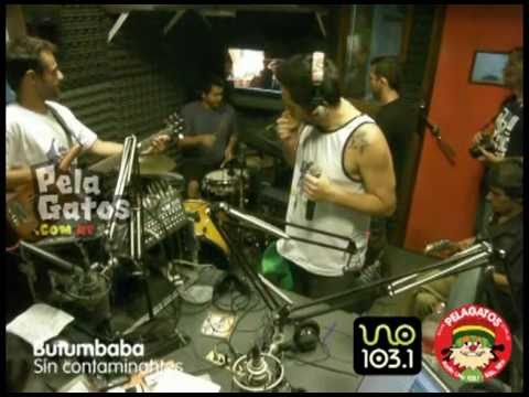 Butumbaba - Reggae en PelaGatos - Sin contaminantes