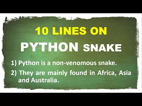 10 Lines On Python In English Python Snake Few Lines On Python