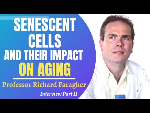 Senescent Cells And Their Impact On Aging | Prof Richard Faragher Interview Series Ep 2
