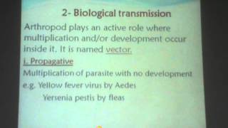 20) Dr.samar 5/4/2016 [ Medical entomology - Culicinae or mosquitoes - Musca,stomoxys&glossina ]