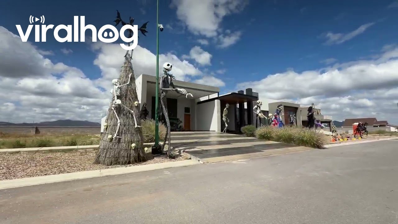 Halloween House In Chihuahua || ViralHog