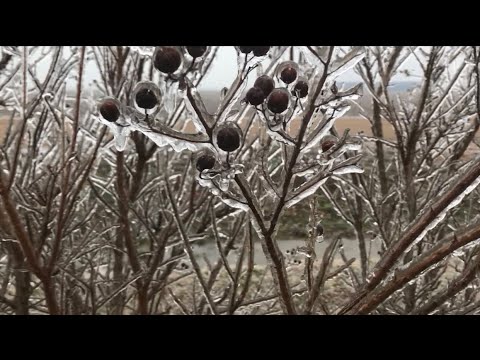 MISSISSIPPI ICE STORM 2021 #storm