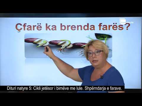 Cikli jetësor i bimëve me lule. Shpërndarja e farave| Dituri natyre 5