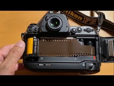 Nikon F6 | Kodak Professional Porta 400