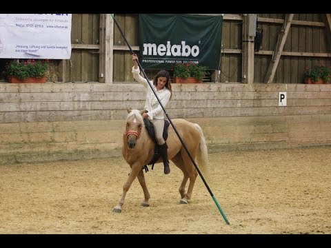 Der erste Auftritt//Equiteam's Golden Spirit//MUSTANG MAKEOVER 2018