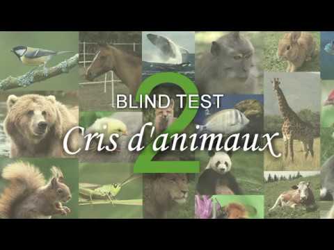 BLIND TEST : Cris d'animaux n°2