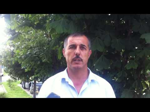 Nicolae Negoitescu, primar Gornet, despre zmeură