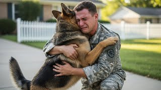 Emotional Animal Reunions | Moments That Will Melt Your Heart ❤️