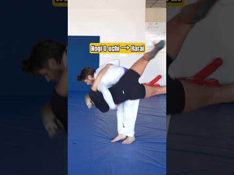 Judo Combination🥋 Ouchi Gari into Harai Goshi #grappling #judo #sambo