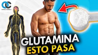 Glutamina cómo funciona