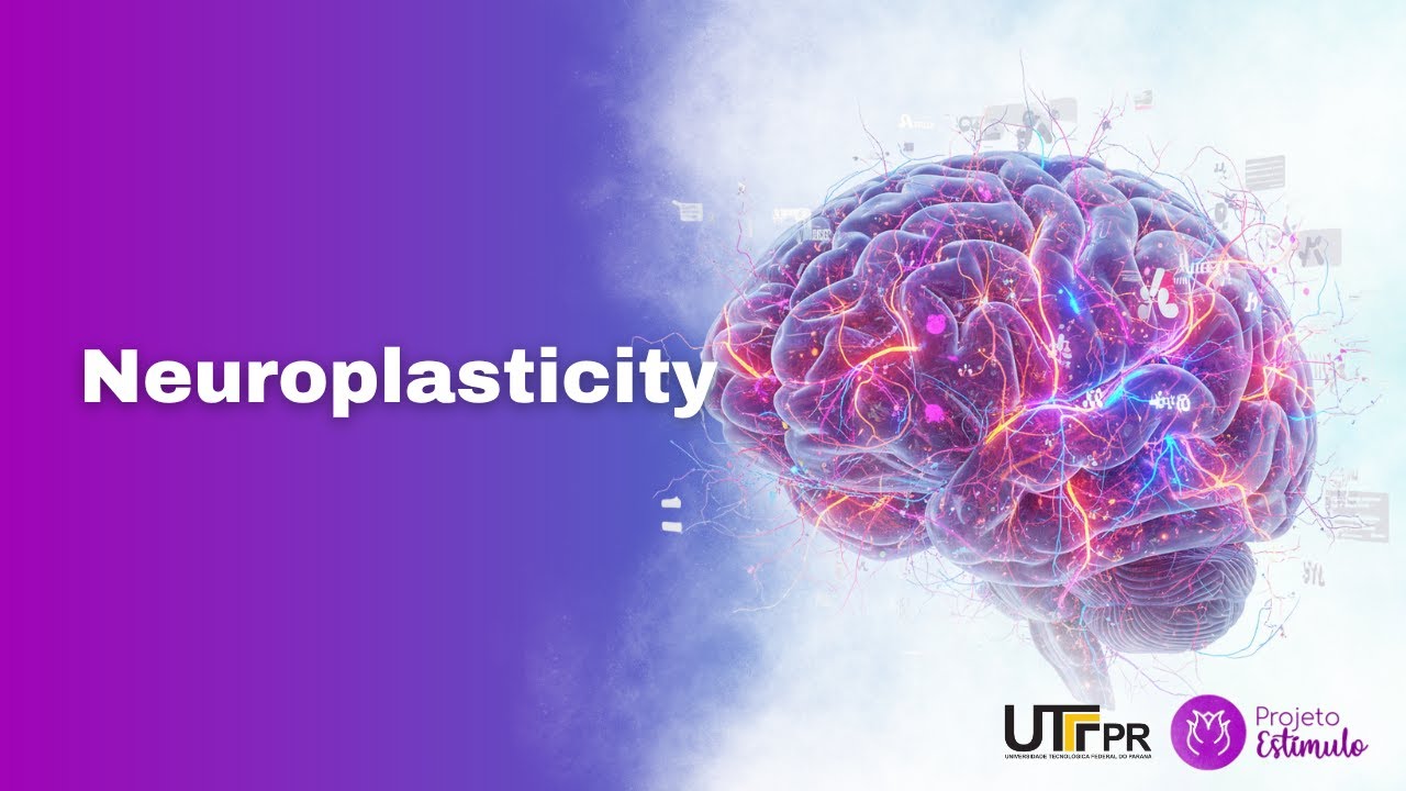🔴 Neuroplasticity: The Brain's Power of Transformation