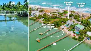 Majestic Manatee and Calf Sighting by the Dock at Beach Houses in Paradise