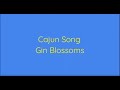 Cajun Song - Gin Blossoms (Lyric Video) (HD)