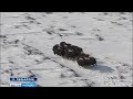 https://www.youtube.com/watch?v=PPmiD-OCfWU