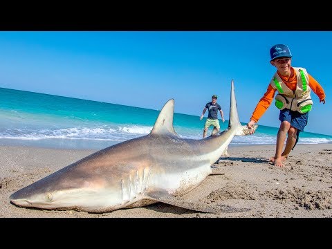 EPIC Day of Beach Fishing for Sharks and Pompano | Fan Episode - 4K
