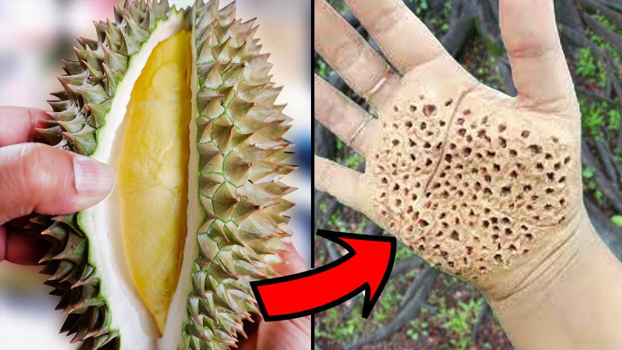 When Nature Becomes Seriously Dangerous