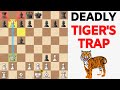 English Opening King S English Variation Reversed Sicilian Trap