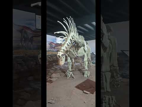 museo Villa el Chocon, Neuquen