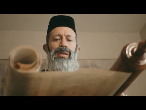 Shmuly Schneider - 'All The Hits 2' Album Trailer | שמולי שניידער