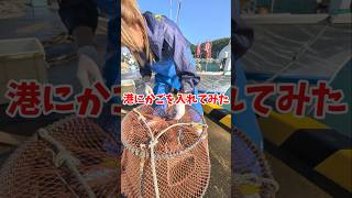 港にかごを入れてみた#漁師の日常 #夫婦 #海の生き物