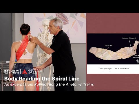 Reading the Spiral Line with Tom Myers | Rolling Along Anatomy Trains