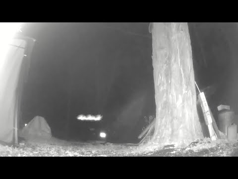 zig zag ..stops on a dime.. 1/8 speed raw footage of skyfish or rods in the adirondacks