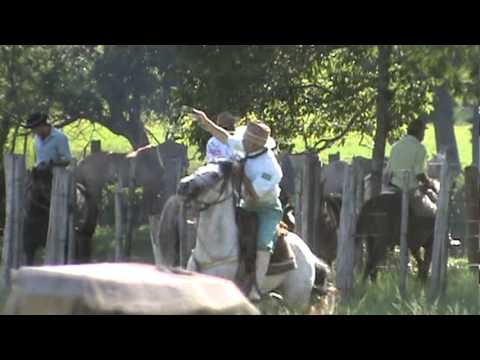 VIAMÃO CTG ARMADA GRANDE